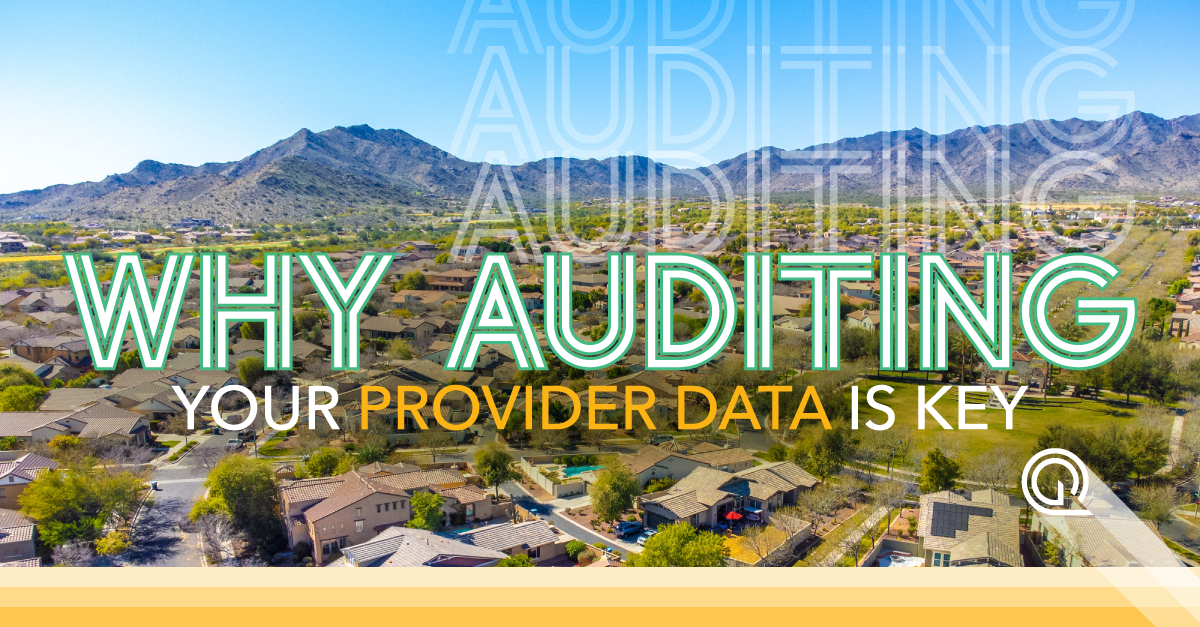 Why Auditing your Provider Data is Key
